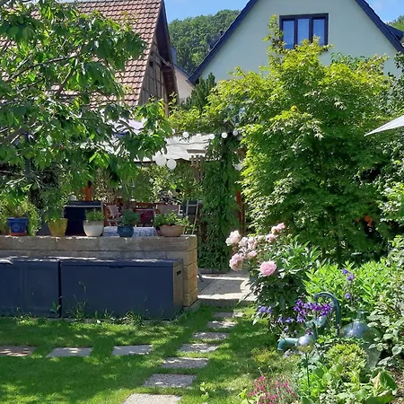 Waldblick Apartment Bad Liebenstein