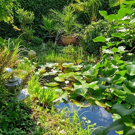 Waldblick Apartment *